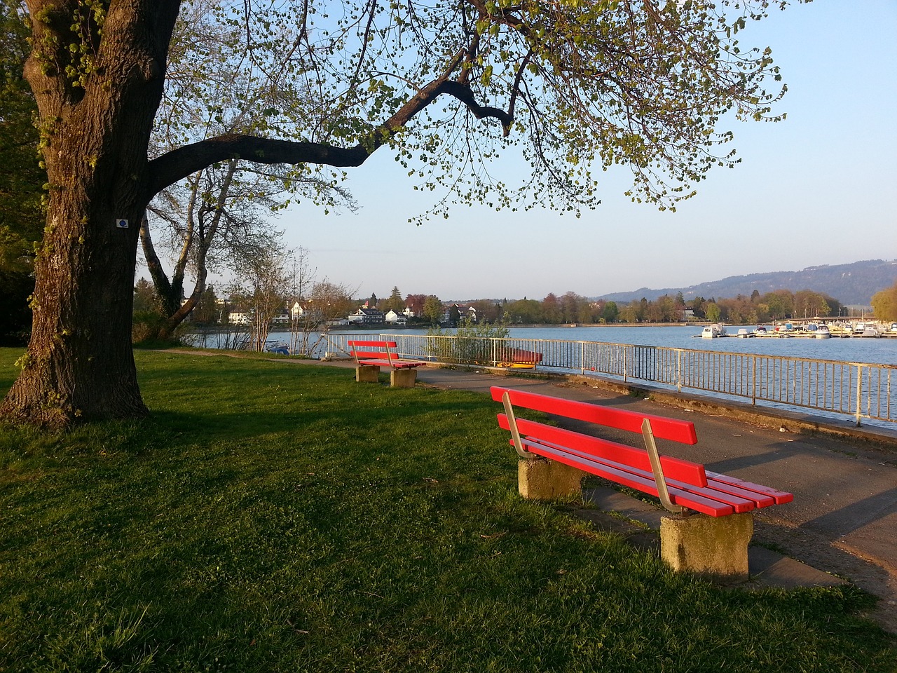 还将影响球 还将影响球