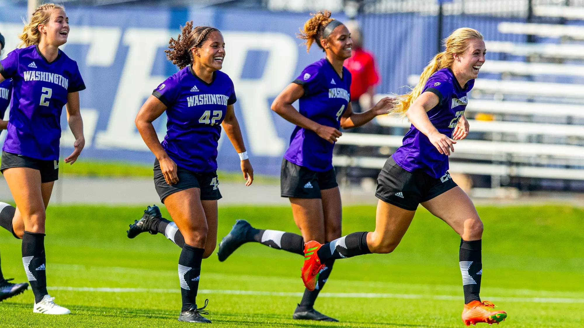 挡拆战术撕 挡拆战术撕